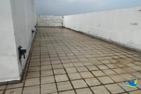 ron gạch sân thượng nứt, rêu mốc