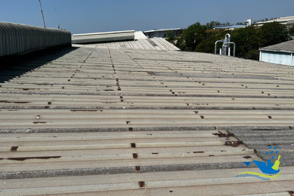 nguyên nhân mái tôn bị dột