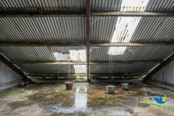 Nguyên nhân mái tôn bị dột phổ biến tại TPHCM 2025 – ví dụ dột do đinh vít lỏng