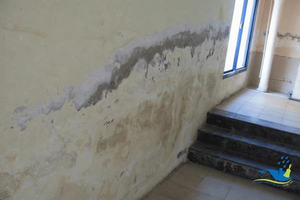 ẩm mốc tường nhà tại TPHCM